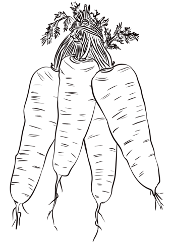 Four Carrots Coloring Page